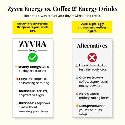 ZYVRA Energy