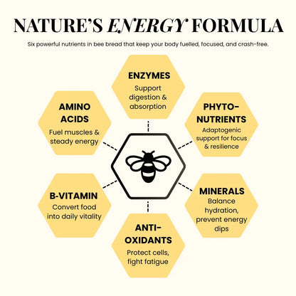 ZYVRA Energy